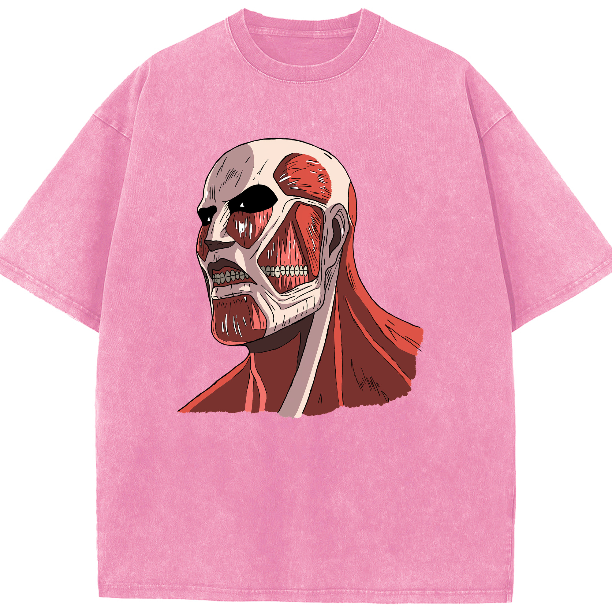 （画像用） 進撃の巨人 Attack on Titan 綿100% ヴィンテージ風 半袖Tシャツ（フロントプリント）